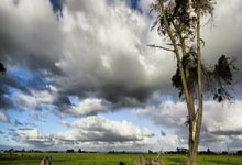 [CBA]常规赛1月19日：浙江VS辽宁 约克集锦.